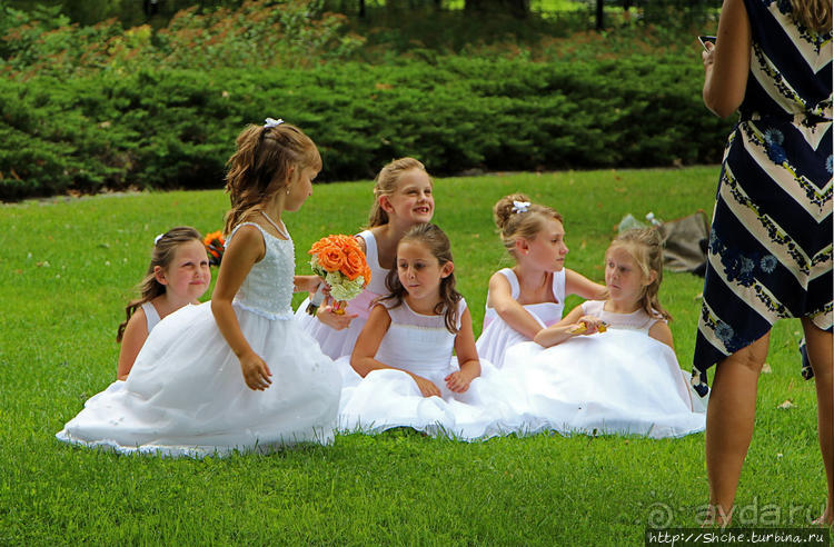 Погожий день в столице Канады