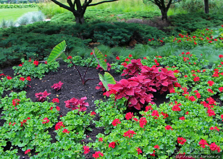 Погожий день в столице Канады