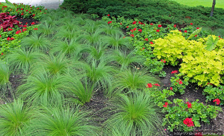 Погожий день в столице Канады