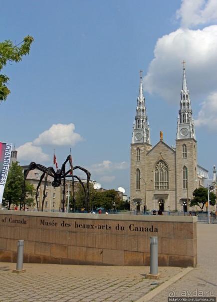 Погожий день в столице Канады