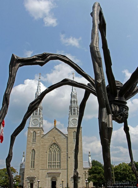 Погожий день в столице Канады