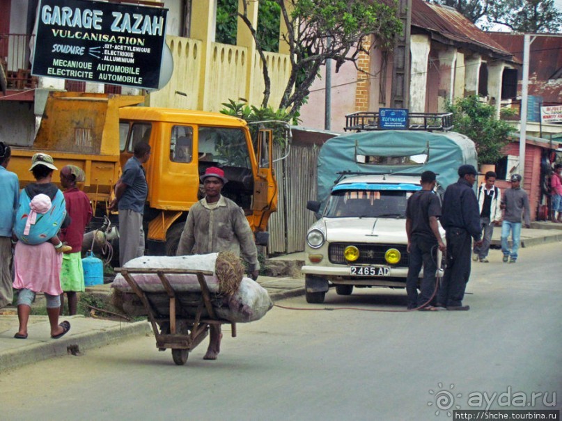 Мураманга и Мандзакандриана. Найдите 10 отличий - Мураманга