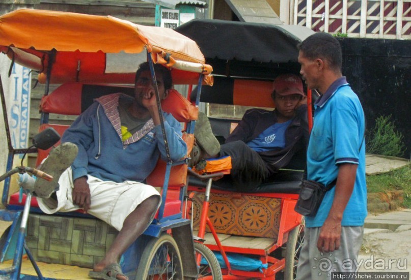 Мураманга и Мандзакандриана. Найдите 10 отличий - Мураманга