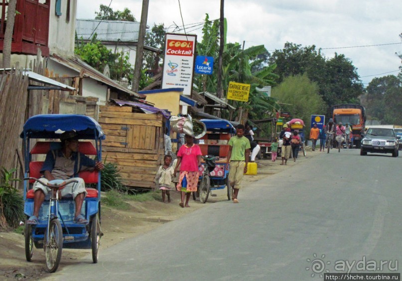 Мураманга и Мандзакандриана. Найдите 10 отличий - Мураманга
