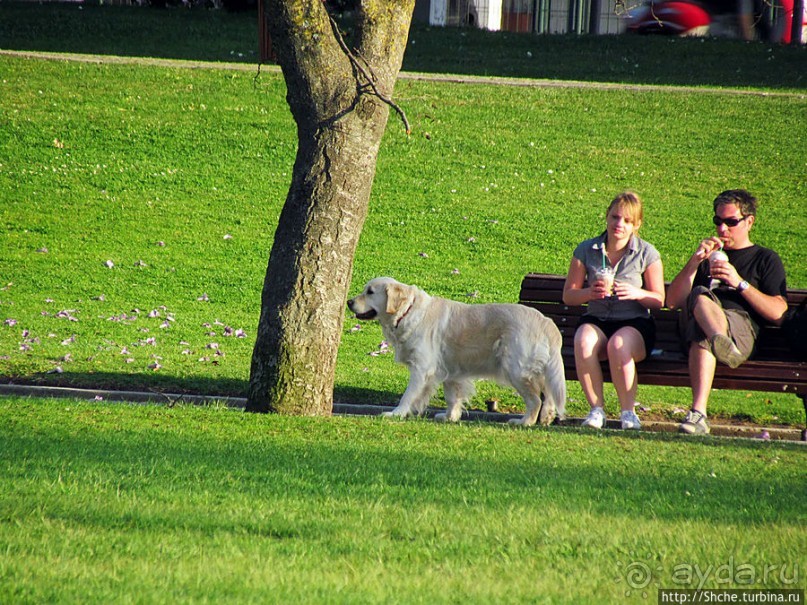 Jardim de Belém — парк в пригороде Лиссабона
