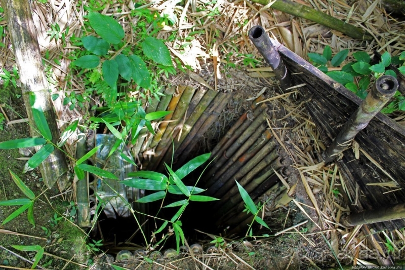 Альбом истории "Пещера Сёити Ёкои — официально героя, по сути дезертира"