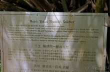 Альбом истории "Пещера Сёити Ёкои — официально героя, по сути дезертира"