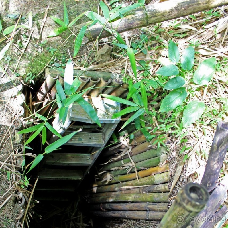 Альбом истории "Пещера Сёити Ёкои — официально героя, по сути дезертира"