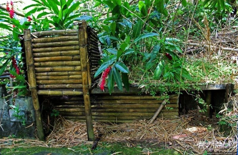 Пещера Сёити Ёкои — официально героя, по сути дезертира