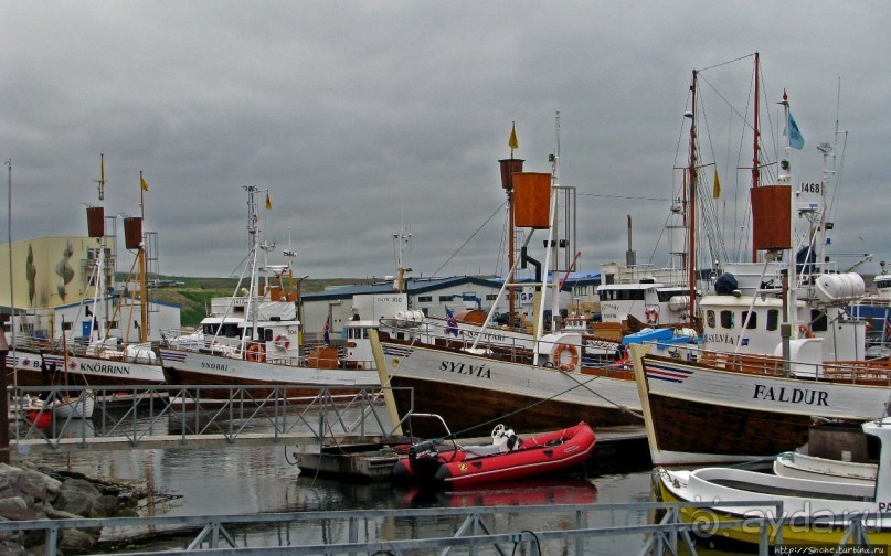 Гарантированное наблюдение за китами в Исландии