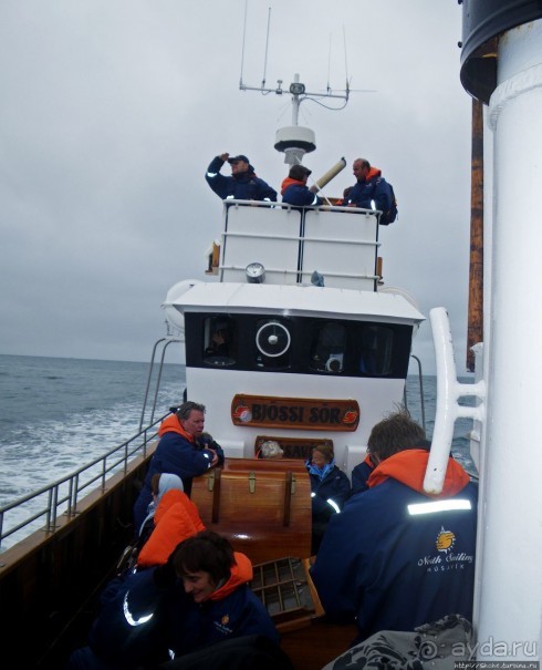 Гарантированное наблюдение за китами в Исландии