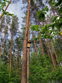 Рыбалка начинается с похода в лес