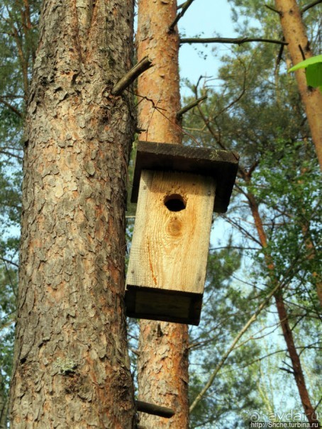 Рыбалка начинается с похода в лес