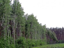 Рыбалка начинается с похода в лес