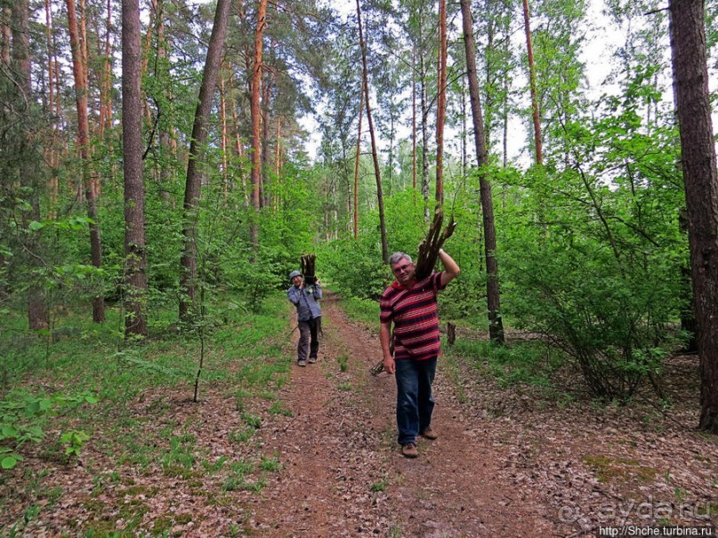 Рыбалка начинается с похода в лес