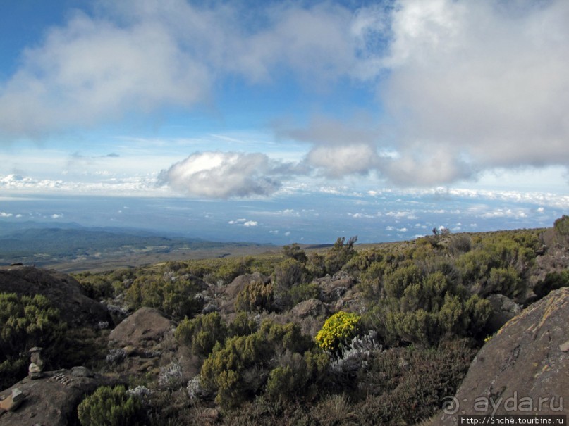 Kibo Hut (4703m) — последний лагерь перед вершиной Кили.