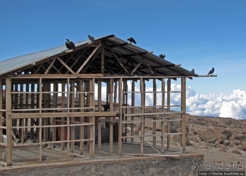 Kibo Hut (4703m) — последний лагерь перед вершиной Кили.