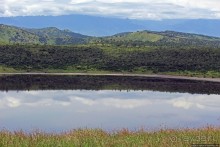 Гулял бычок по облаку