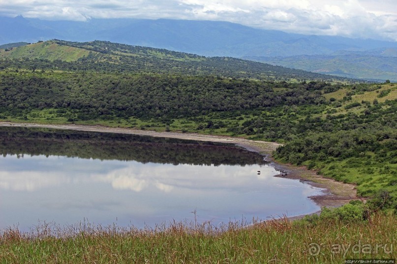 Гулял бычок по облаку Гулял бычок по облаку