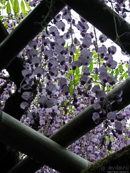 Древние храмы Нары. Kasuga-Taisha (объект ЮНЕСКО 870-003)