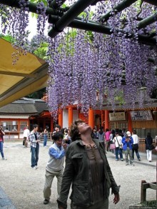 Древние храмы Нары. Kasuga-Taisha (объект ЮНЕСКО 870-003)