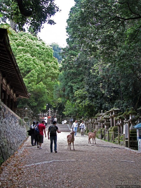 Древние храмы Нары. Kasuga-Taisha (объект ЮНЕСКО 870-003)