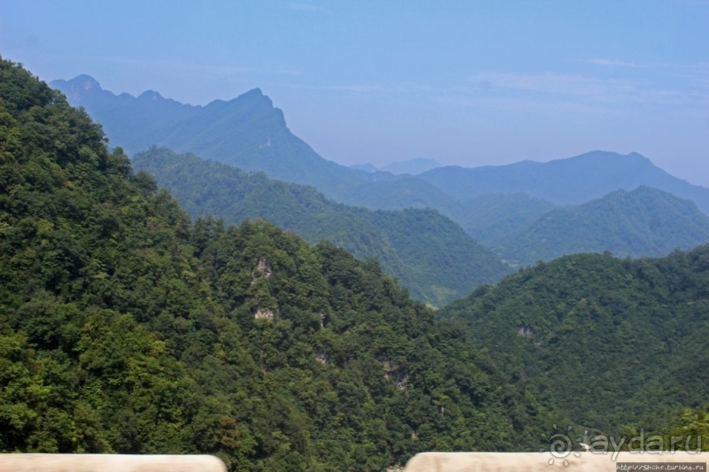 Красота выше политики. Зеленые горы хребта Пуктэбон