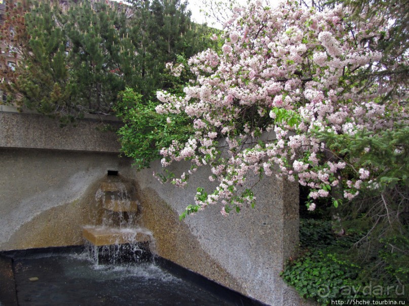 Цветущий парк у Храма Иисуса Христа. А мормоны - молодцы