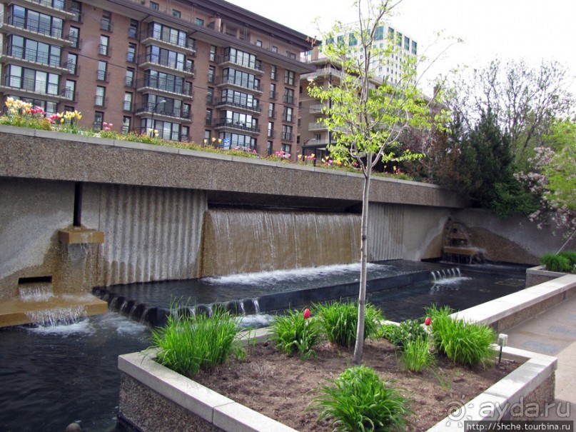 Цветущий парк у Храма Иисуса Христа. А мормоны - молодцы