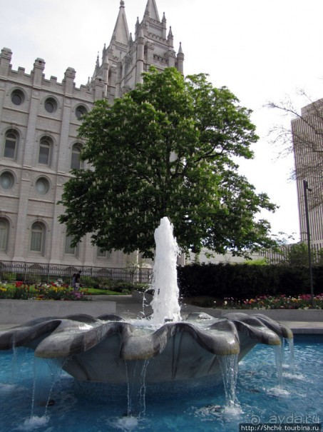 Цветущий парк у Храма Иисуса Христа. А мормоны - молодцы