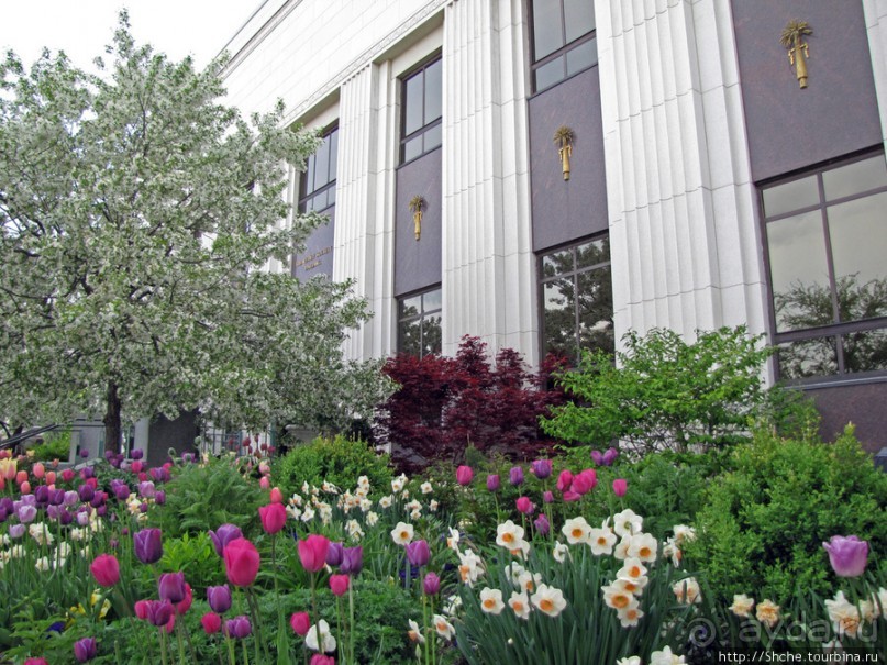 Цветущий парк у Храма Иисуса Христа. А мормоны - молодцы