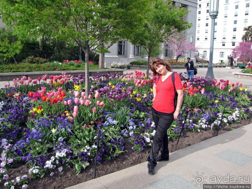 Цветущий парк у Храма Иисуса Христа. А мормоны - молодцы