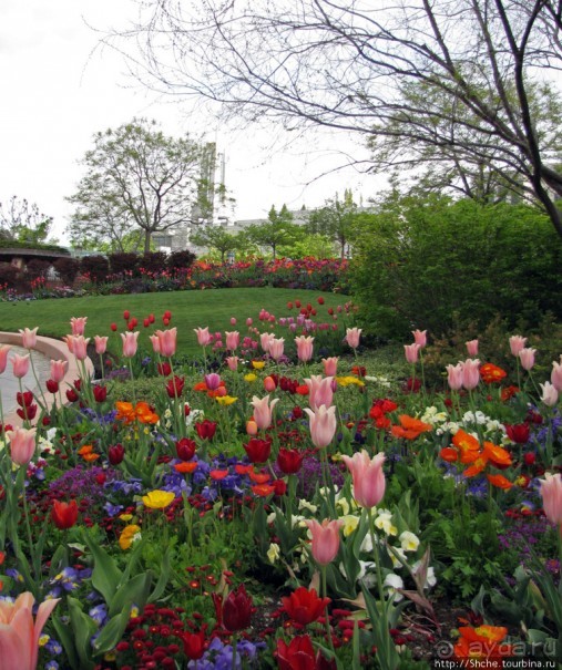 Цветущий парк у Храма Иисуса Христа. А мормоны - молодцы