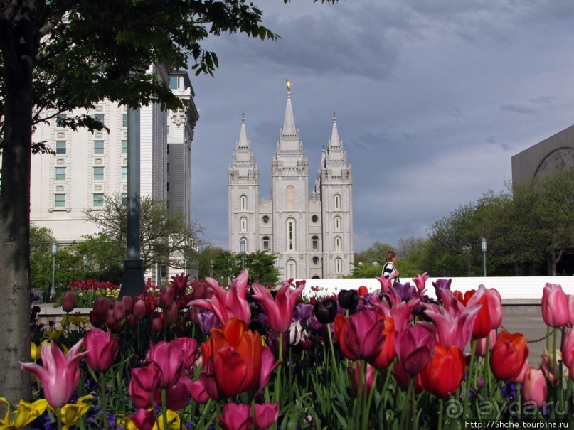 Цветущий парк у Храма Иисуса Христа. А мормоны - молодцы