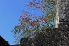 Тикаль. Центральный Акрополь