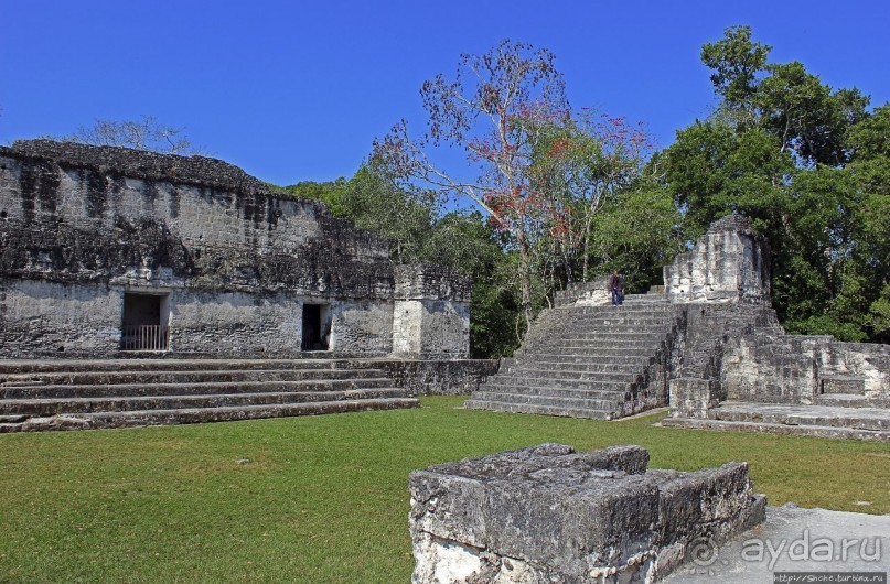 Тикаль. Центральный Акрополь