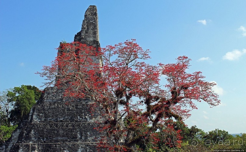 Тикаль. Центральный Акрополь
