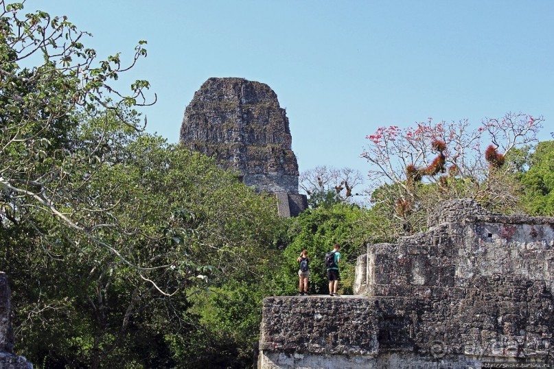 Тикаль. Центральный Акрополь