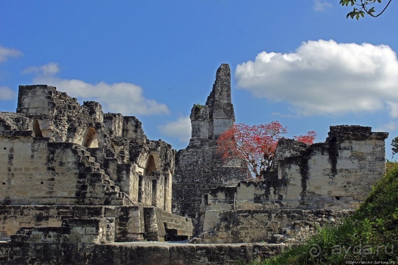 Тикаль. Центральный Акрополь