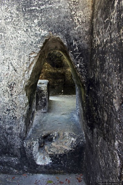 Тикаль. Центральный Акрополь