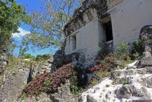 Тикаль. Центральный Акрополь