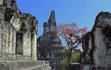 Тикаль. Центральный Акрополь