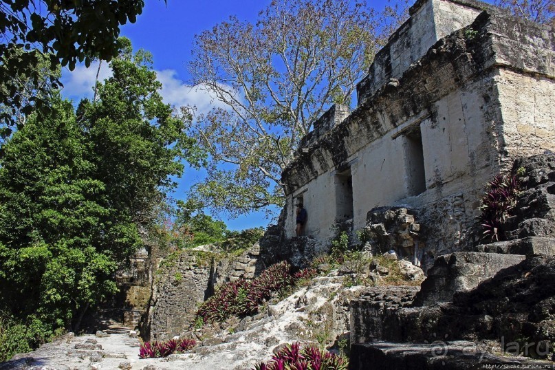 Тикаль. Центральный Акрополь