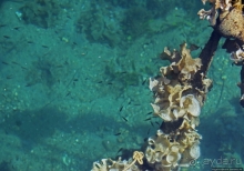 Никакого гламура, бухта только для рыбаков