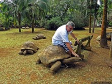 Альбом позитивного настроения, или каковы черепахи на ощупь
