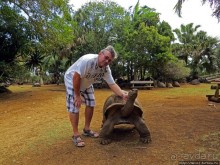 Альбом позитивного настроения, или каковы черепахи на ощупь