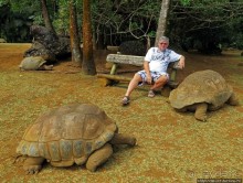 Альбом позитивного настроения, или каковы черепахи на ощупь