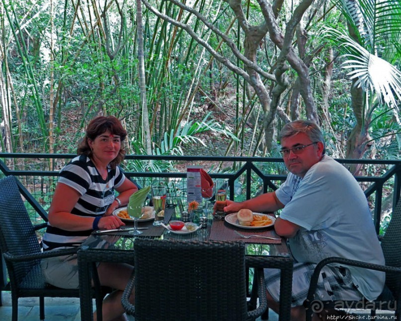 Альбом позитивного настроения, или каковы черепахи на ощупь