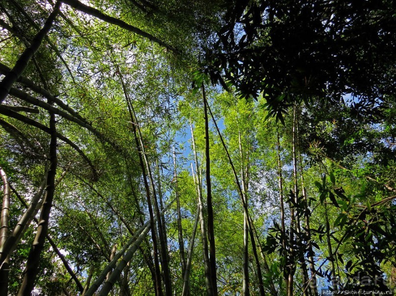 Альбом позитивного настроения, или каковы черепахи на ощупь