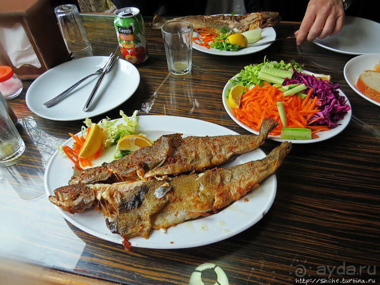 Вторая по вкусу форель в моей жизни